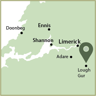 Mac Tours Ireland Lough Gur Half Day Tour Map